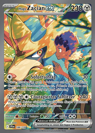 Pokémon Reisegefährten - Display