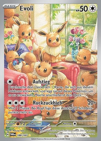 Pokémon Maskerade im Zwielicht - Display