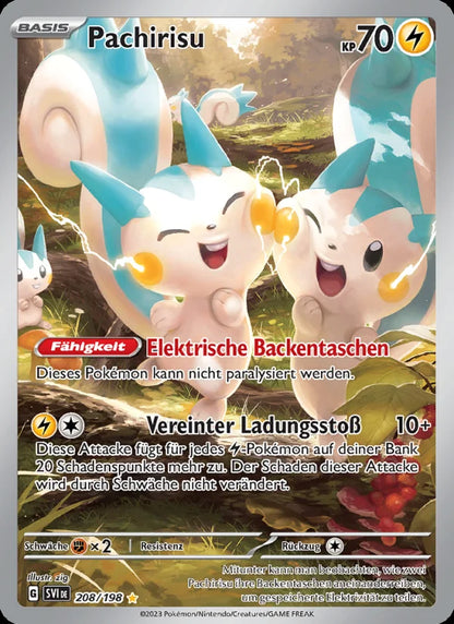 Pokémon Karmesin & Purpur - Display